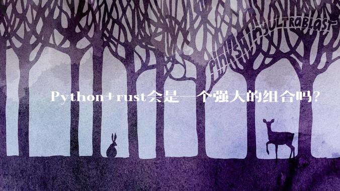 Python+rust会是一个强大的组合吗？